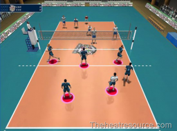 International Volleyball 2009